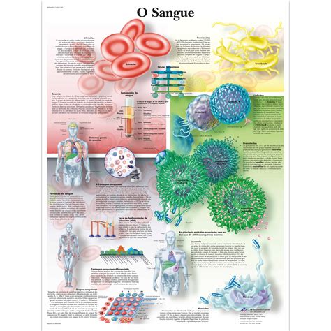 O sangue 50x67 cm Laminado 1002159 VR5379L Cérebro e sistema