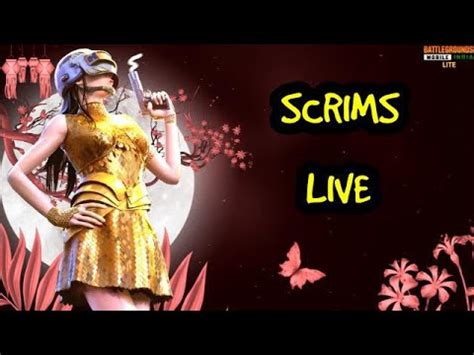 BGMI LIVE TOURNAMENT SCRIMS BOOM BAAM LEGEND GAMING BOX YouTube