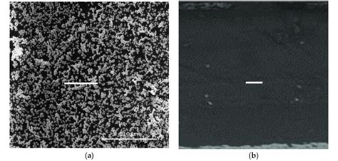 SEM Images Showing A Surface Confined Gold Nanoparticle AuNP