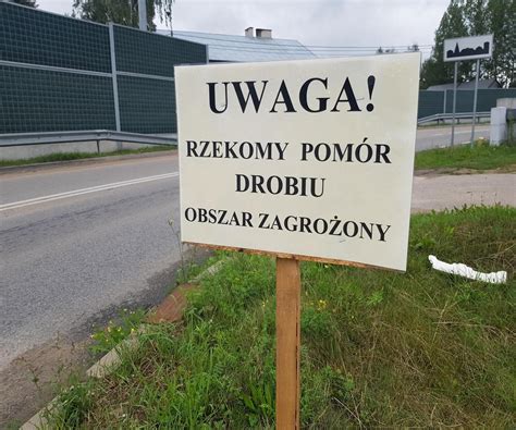 Pomór drobiu na Podlasiu Już cztery potwierdzone ogniska w regionie