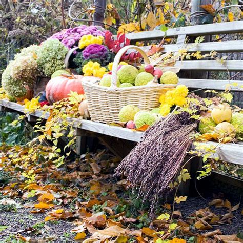 The garden in autumn - Autumn tips and ideas for your landscape – Ofdesign