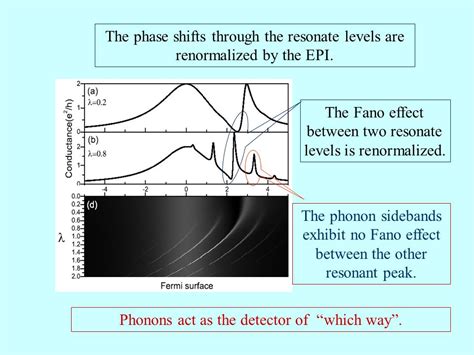 Selected Topics On Phonons And Electron Phonon Interaction In