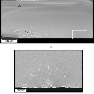 A SEM Image Of The Fracture Surface Of A Specimen Tested In Three Point