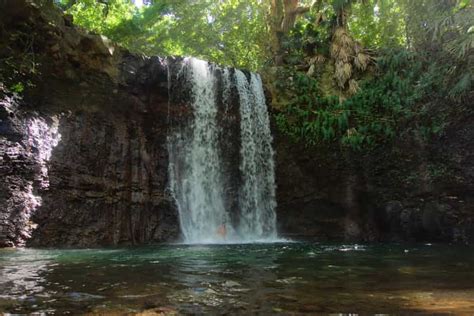 Mauritius 3 Uur Durende Wandeltocht Door Het Wilde Zuiden GetYourGuide