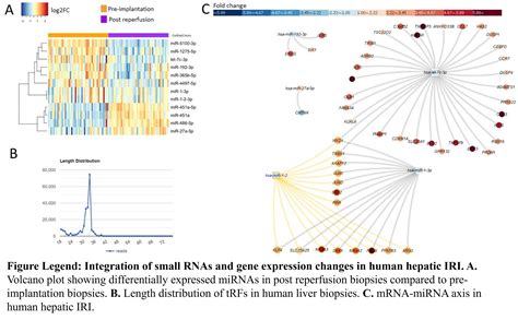 Crosstalk Between Micro Rnas Mrnas And Long Non Coding Rnas In Human Hepatic Ischemia