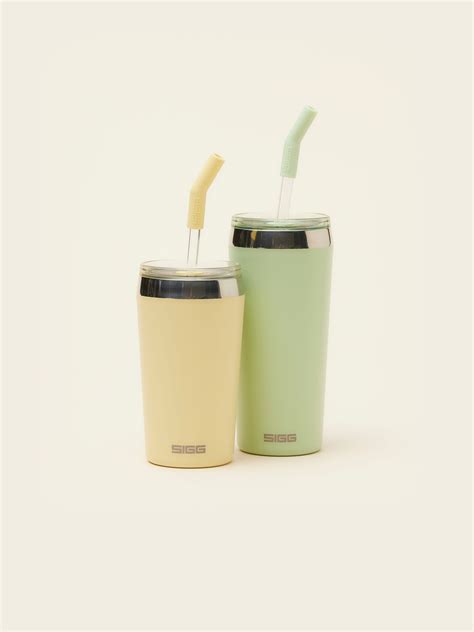 Stanley Straw Tumbler - Custom Eco-friendly Drinkware