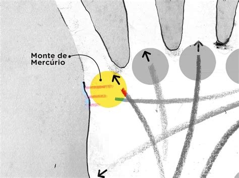 Como Ler E Interpretar As Linhas Da Palma Da Mão Super Leitura De