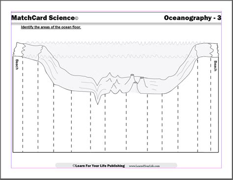 Ocean Floor Mapping Worksheet | Viewfloor.co