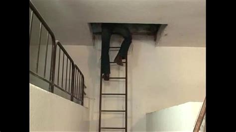 Farm Anal Search XVIDEOS