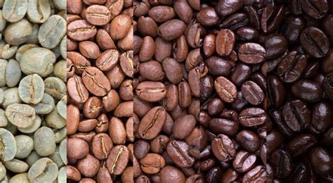 Niveles de tostado de café Sabor y aroma diferentes Quality Coffee