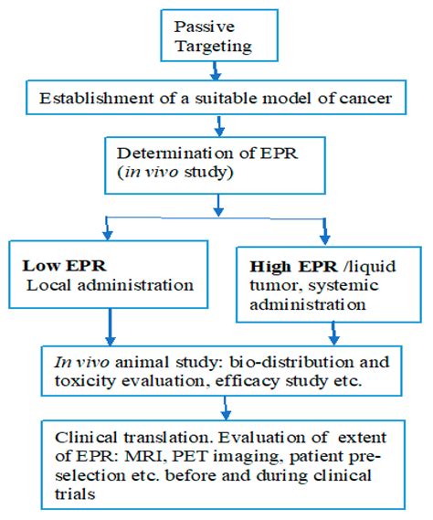 Jpm Free Full Text Recent Advances In Tumor Targeting Via Epr