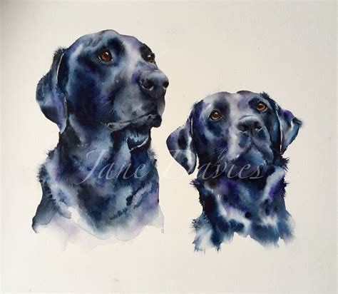 Two Black Labradors Pet Portrait Painted By Watercolour Artist Jane