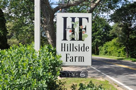 Hillside Farm - The Martha's Vineyard Times