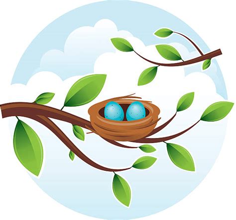 Bird Nest Illustrations, Royalty-Free Vector Graphics & Clip Art - iStock