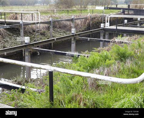 monkey marsh lock  res stock photography  images alamy