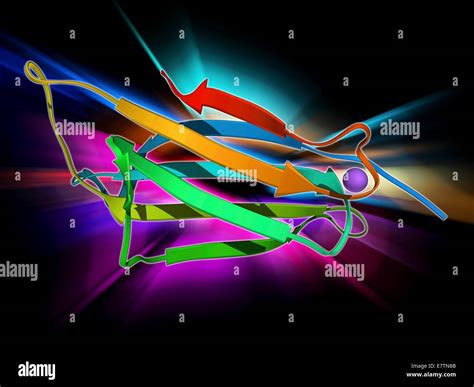 Ubiquitin Ligase Molecular Model This Enzyme Tags Proteins For Degradation By Attaching A