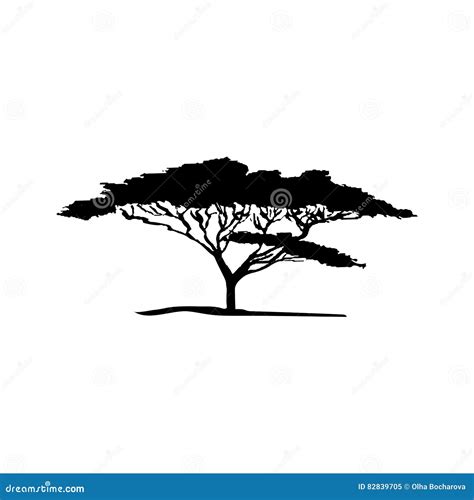 Vector Silhouette of Acacia Tree Stock Vector - Illustration of vector, nature: 82839705