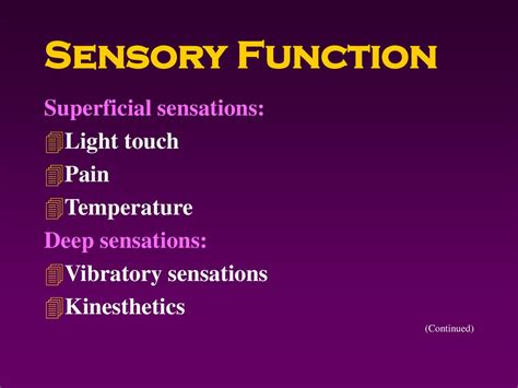 Assessing The Sensory Neurological System Ppt Download