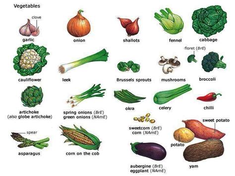 Vegetables Vegetal Ingleses Idioma Inglês