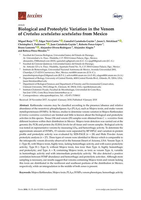 (PDF) Biological and Proteolytic Variation in the Venom of Crotalus scutulatus scutulatus from ...