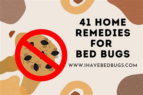 41 Home Remedies For Bed Bugs Using Tips