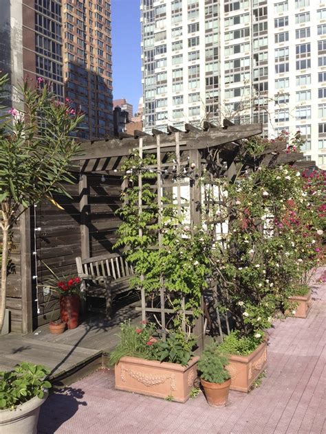 Urban Gardening: The Ultimate Guide To City Gardening | Gardening Know How