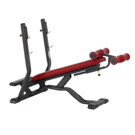 Banc De Musculation R Glable Sho Telju Fitness Professionnel