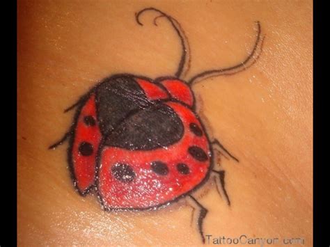 Ladybug Tattoo Designs Tattoos Design 1025 With Tattoo Design