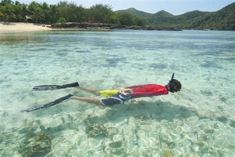 stock photo  man snorkeling  clear blue water freeimageslive