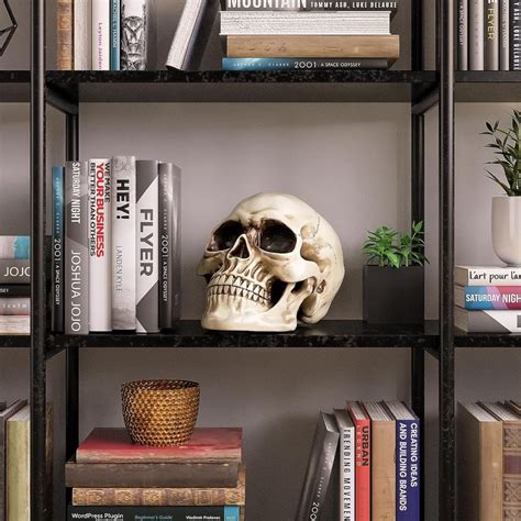 Life Size Human Skull Model Replica Realistic Human Adult Skull