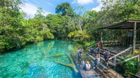 Ecoturismo No Brasil Destinos Imperd Veis Para Os Amantes Da Natureza