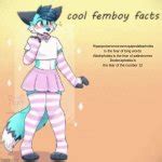 Cool Femboy Facts Blank Template Imgflip