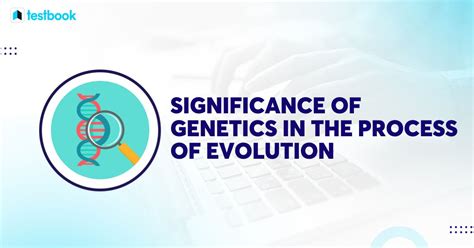 How Genetics Play A Role In Evolution | Human Genetics & Evolution