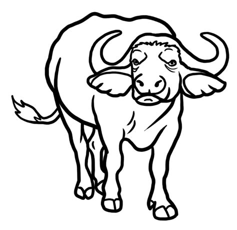 How To Draw A Buffalo Drawing Easy Guides Easy To Draw Everything