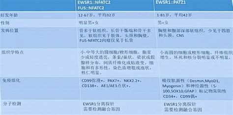 2023CSCO指南年会丨骨与软组织肉瘤指南全新发布 软组织肉瘤 肉瘤 细胞 化疗 放疗 健康界