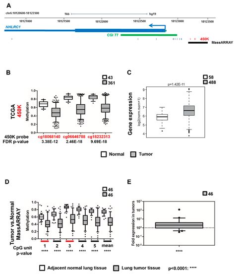 Ijms Free Full Text Identification Of Nhlrc1 As A Novel Akt