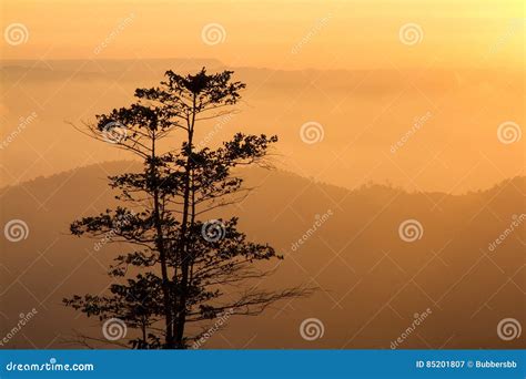 Landscapes Morning Mountain Sunrise between Silhouette of Trees Stock ...