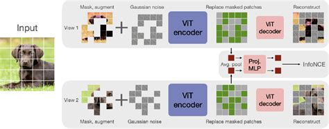 Figure 2 From A Simple Efficient And Scalable Contrastive Masked Autoencoder For Learning