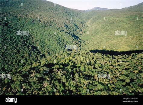 Sierra Tamaulipas Tamaulipas Mexico Hi Res Stock Photography And Images