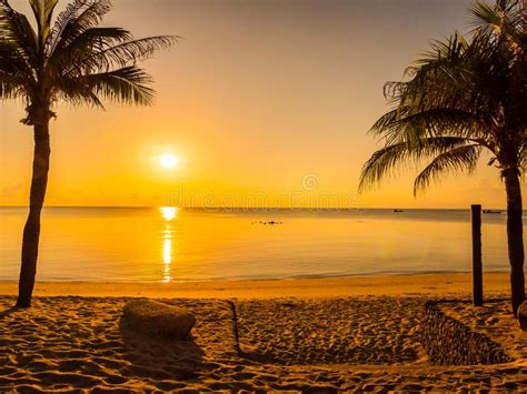 Beautiful Tropical Beach Sea And Ocean With Coconut Palm Tree At Stock