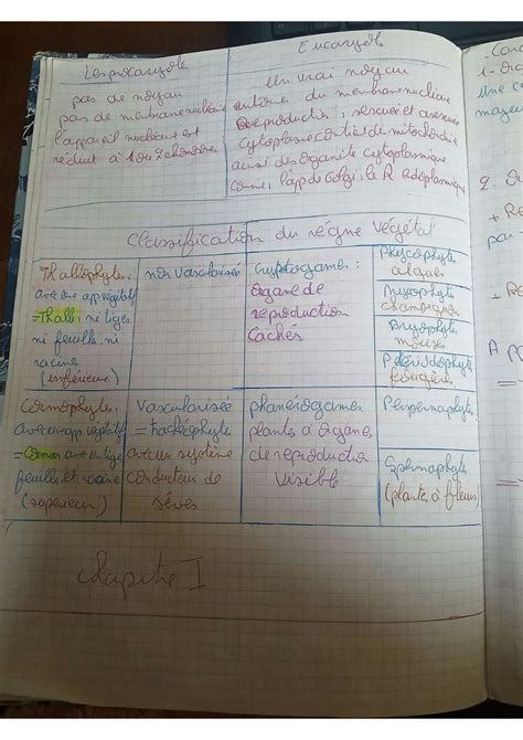 SOLUTION Biologie Vegetale 1 Studypool