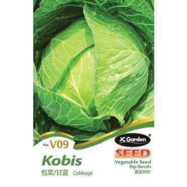 JC Garden V10 Vegetable Seed Milky Pak Choy Pak Choy Pendek Biji