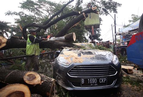 FOTO Mobil Tertimpa Pohon Tumbang Usai Hujan Deras Disertai Angin Kencang