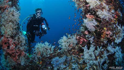 Diving Malapascua Fun Sun Dive Travel