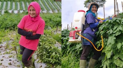 9 Potret Novi Listiana Pedangdut Yang Nekat Pilih Jadi Petani Inspiratif