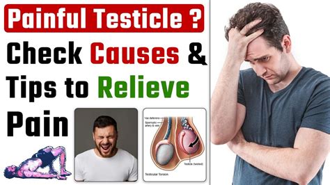 Testicular Pain Causes And Treatment Tips To Relieve Pain In Testicles Dr Health Youtube