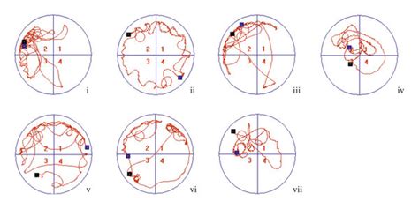 Morris Water Maze Test Evaluating Spatial Learning And Memory Ability