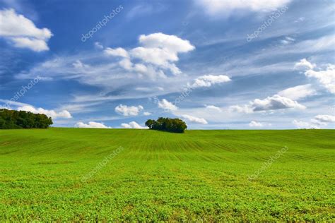 Fertile plains — Stock Photo © hraska #10777486