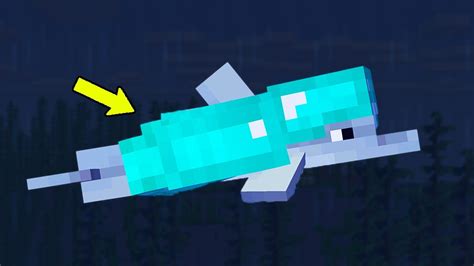 Minecraft Dolphin Background