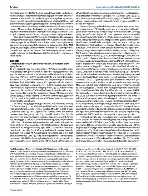 Solution Transcriptional And Epigenetic Dysregulation Impairs